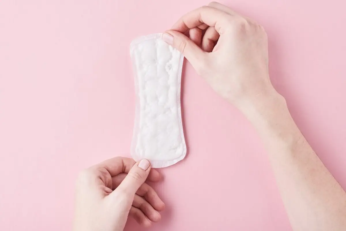 Absorventes para conforto diário?>