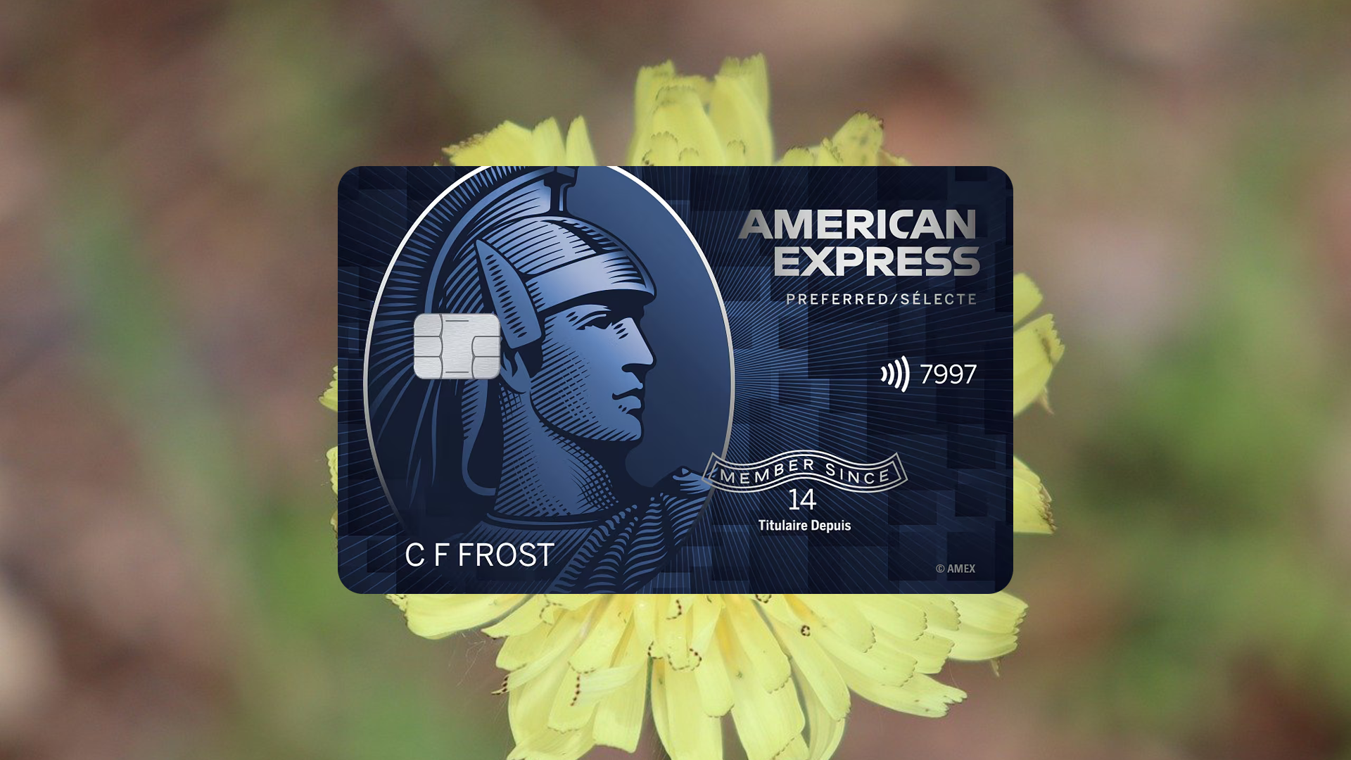 Step-by-Step Guide Apply for AMEX SimplyCash Preferred Credit Card